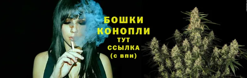 МЕГА вход  Кировск  Бошки марихуана SATIVA & INDICA  купить  цена 